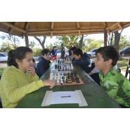 Copa Informatica 2017